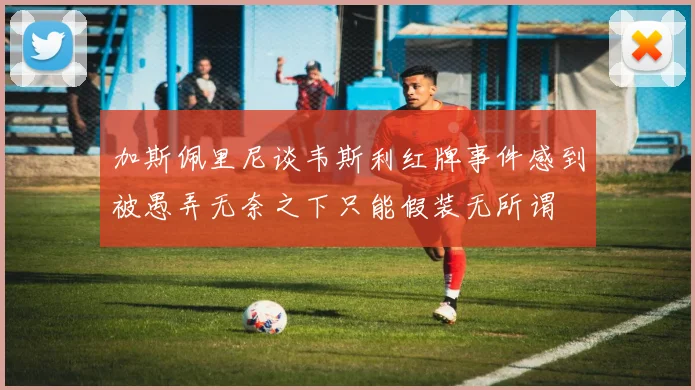 加斯佩里尼谈韦斯利红牌事件感到被愚弄无奈之下只能假装无所谓
